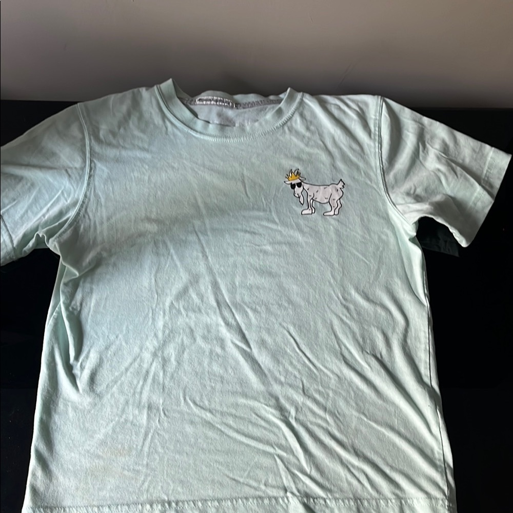 The GOAT USA WG Boys T-Shirt - mint green